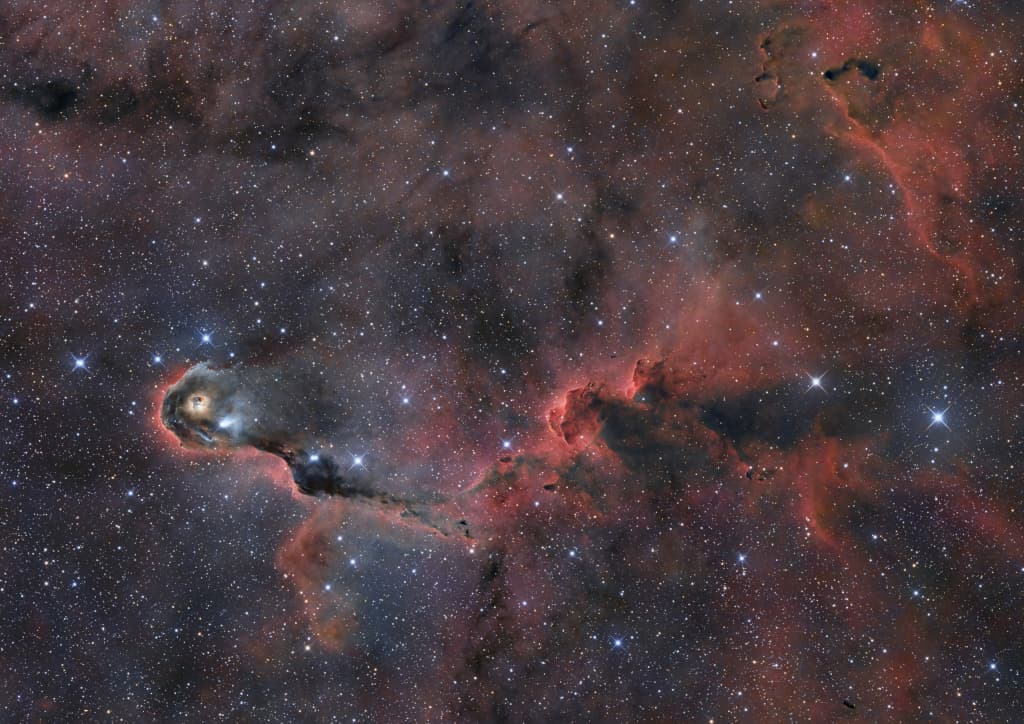 The Elephant's Trunk in Cepheus