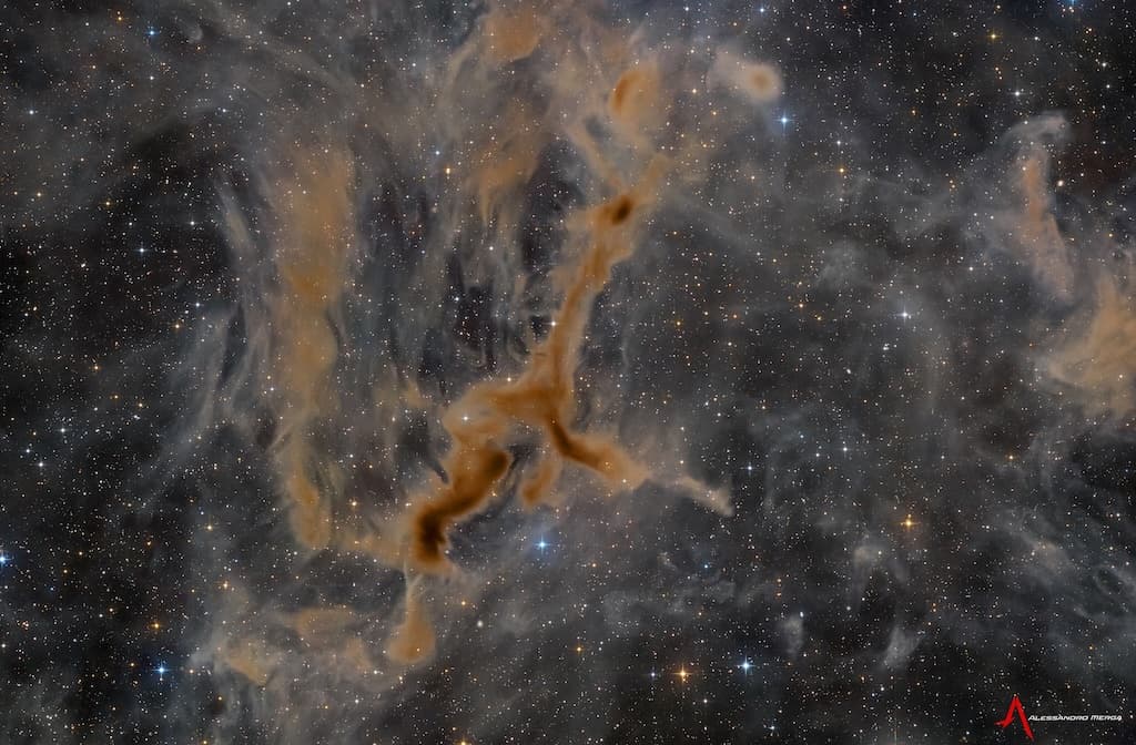 LDN 1295: The Giraffe Nebula