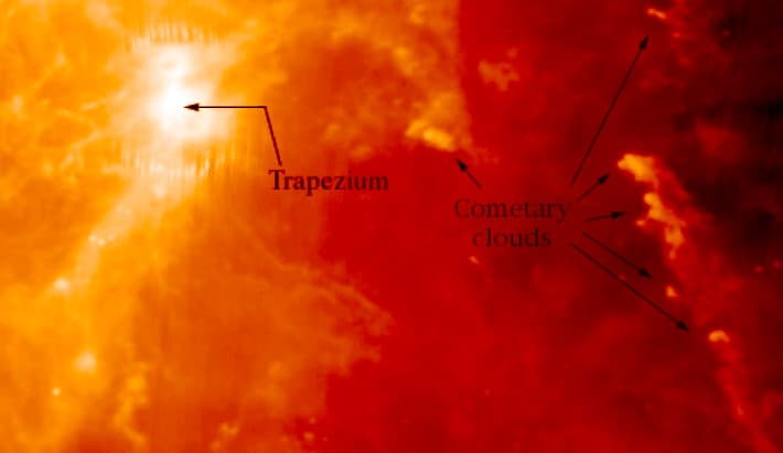 Cometary Globules In Orion