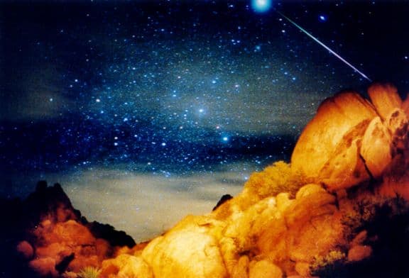 A Sirius Leonid Meteor