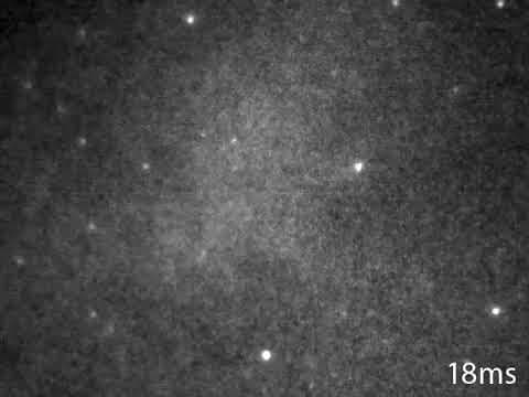 Flashes of the Crab Pulsar